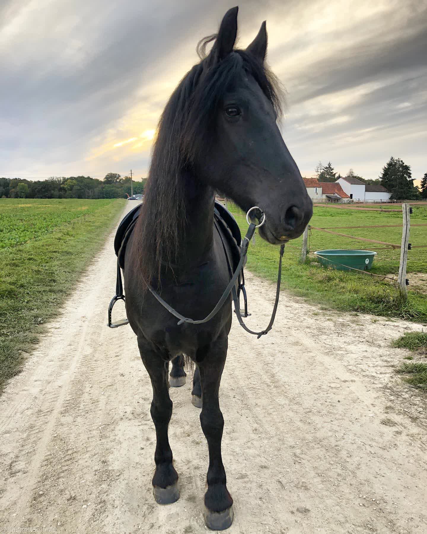 Lieuwe van de Heide — view 4 of 40