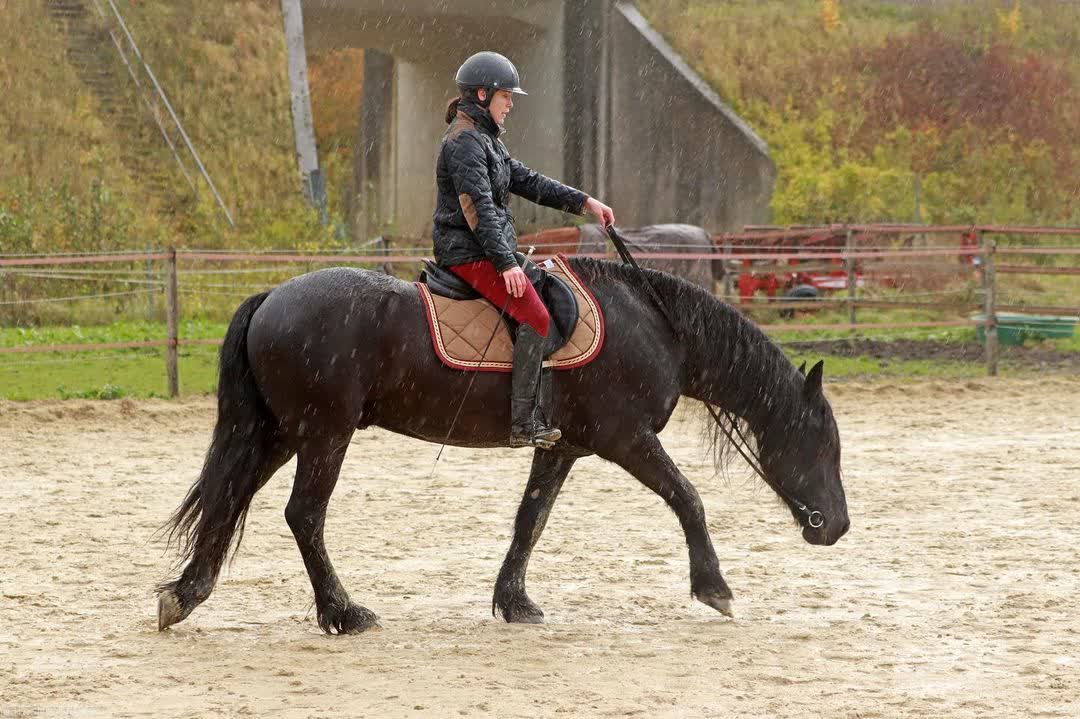 Lieuwe van de Heide — view 8 of 40